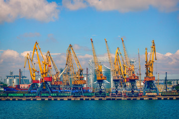 sea port with  yellow cranes