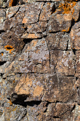 beautiful brown grey stones, rocks, green, orange, moss, closeup, summer, nature, forest
