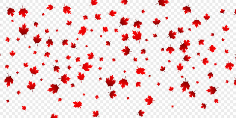 Fototapeta na wymiar Canada Day maple leaves background. Falling red leaves for Canada Day 1st July