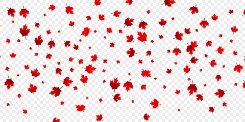 Fotobehang Canada Day maple leaves background. Falling red leaves for Canada Day 1st July © Stock Vector One
