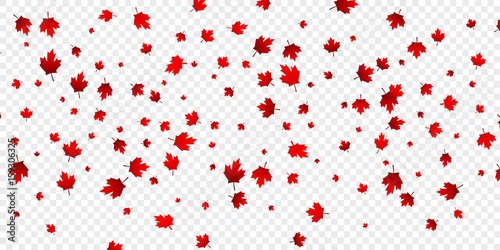 Canada Day Maple Leaves Background Falling Red Leaves For Canada Day 1st July Wall Mural Stock Vector One
