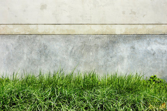 Background cement dark cracks and grass