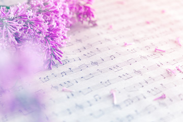 The beautiful lilac on a light textile background