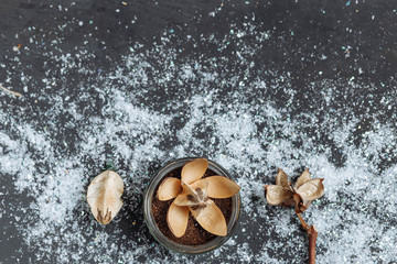 scrub in a jar with dried plant decorations pine cones brown twigs on gray black background bulk snow cotton close-up of Kraft paper, jute string copyspace
