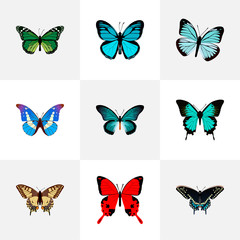 Fototapeta na wymiar Realistic Tiger Swallowtail, Morpho Hecuba, Pipevine And Other Vector Elements. Set Of Butterfly Realistic Symbols Also Includes Sky, Butterfly, Julia Objects.