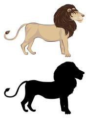 Lion with Silhouette