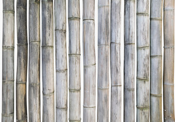 Dry Bamboo stems sticks isolate set on white background