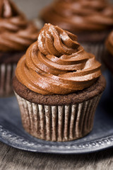 Close Up of Frosted Chocolate Cupcakes on a Metal Tray