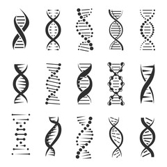 Double DNA helix vector icons - obrazy, fototapety, plakaty