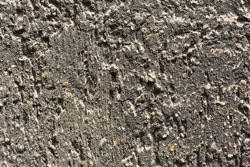 Coquina grey background