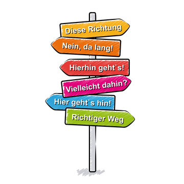 Verwirrender Schilderwald / Vektor, freigestellt