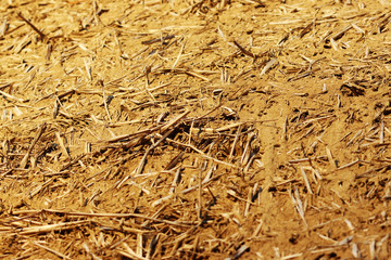 The wall texture of an adobe house made from barley straw and two kinds of clay.