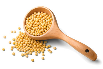 raw soybeans on white, (large depth of field, taken with tilt shift lens)