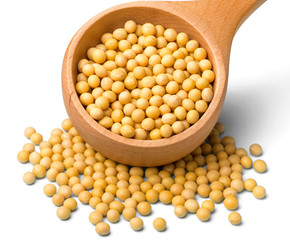 raw soybeans on white, (large depth of field, taken with tilt shift lens)