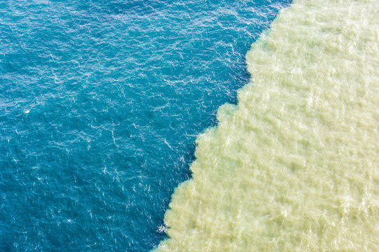 Freshwater mixing with salt water near estuary mouth
