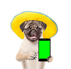 Funny puppy in a hat with smartphone. Isolated on white background