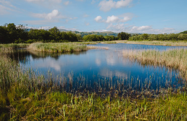 Landscape - Nature reserve