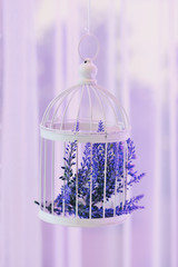 bright violet branches of a lavender, spring bouquet in cage