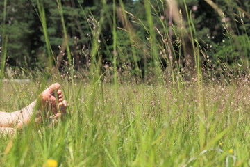 F&uuml;&szlig;e in Sommerwiese beim Sonnenbad