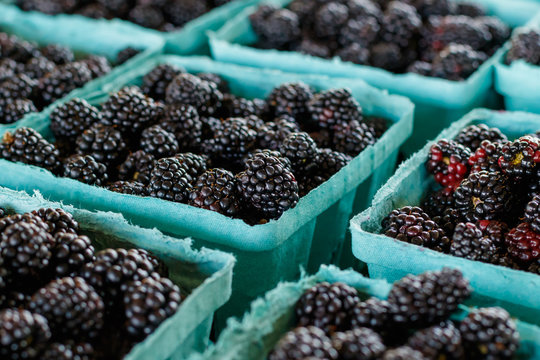 Blackberries at a Farmers Market