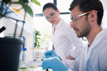 Scientists at chemical laboratory during work