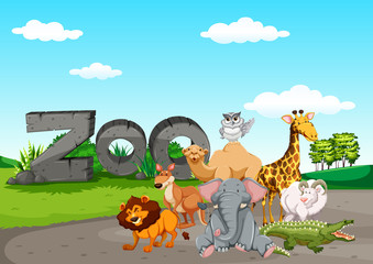 Obraz na płótnie Canvas Wild animasl at the zoo