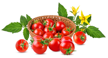 Cherry tomatoes {tomato} isolated on a white