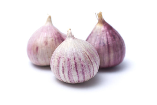 Garlic or Allium ampeloprasum var. ampeloprasum isolated on white background 