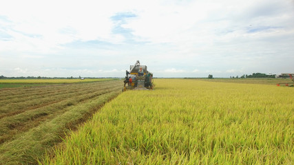 Obraz premium Aerial view of combine on harvest field