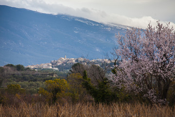 Paysage de Provence