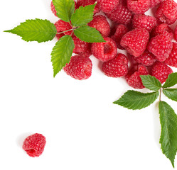 Group of red raspberry with leaf