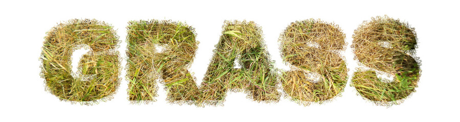 3D Dry Grass Alphabet