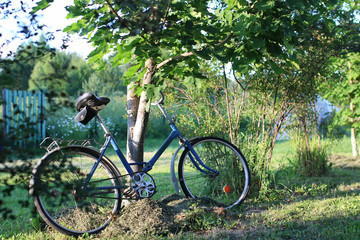 bicycle on a rural nature