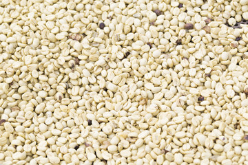 Coffee beans background
