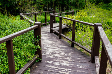 Footbridge in the park