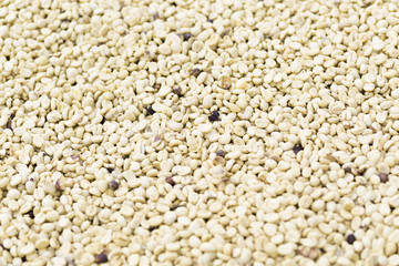 Coffee beans background