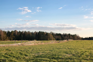 summer field wild pasture