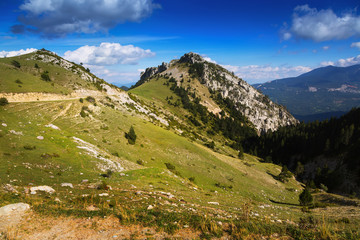 Summer view of forest  mountains landscape