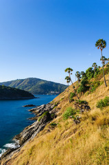 Fototapeta na wymiar Beautiful Landscape and Tropical over the sea and Cape with blue sea, sky in the background and yellow grass in the foreground. Phromthep cape viewpoint at blue sky in Phuket,South of Thailand.