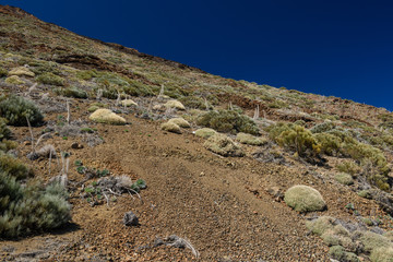 El Teide volcano, Tenerife, Spain