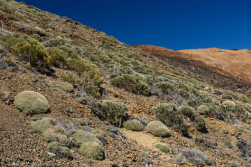 Fototapeta na wymiar El Teide volcano, Tenerife, Spain