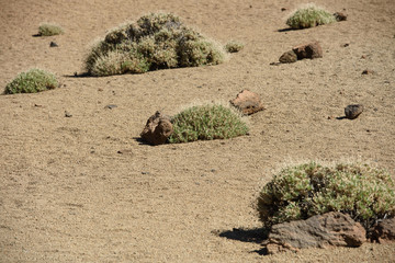El Teide volcano, Tenerife, Spain