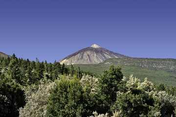 El Teide volcano, Tenerife, Spain