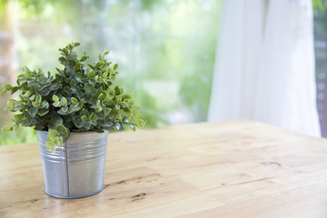 Little tree in aluminium vase on wooden table with clean white curtain and garden background, Concept of  clean living room