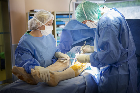 ORTHOPEDIC SURGERY