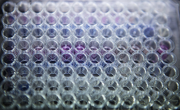 CANCER RESEARCH