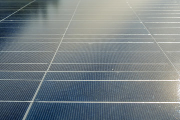 solar photovoltaic panels on sunset. blue shiny panels with green forest background