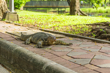 ルンピニパーク・バンコク一人歩き