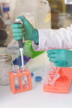 CANCER RESEARCH