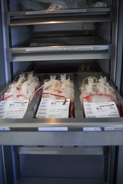 BLOOD STOCK